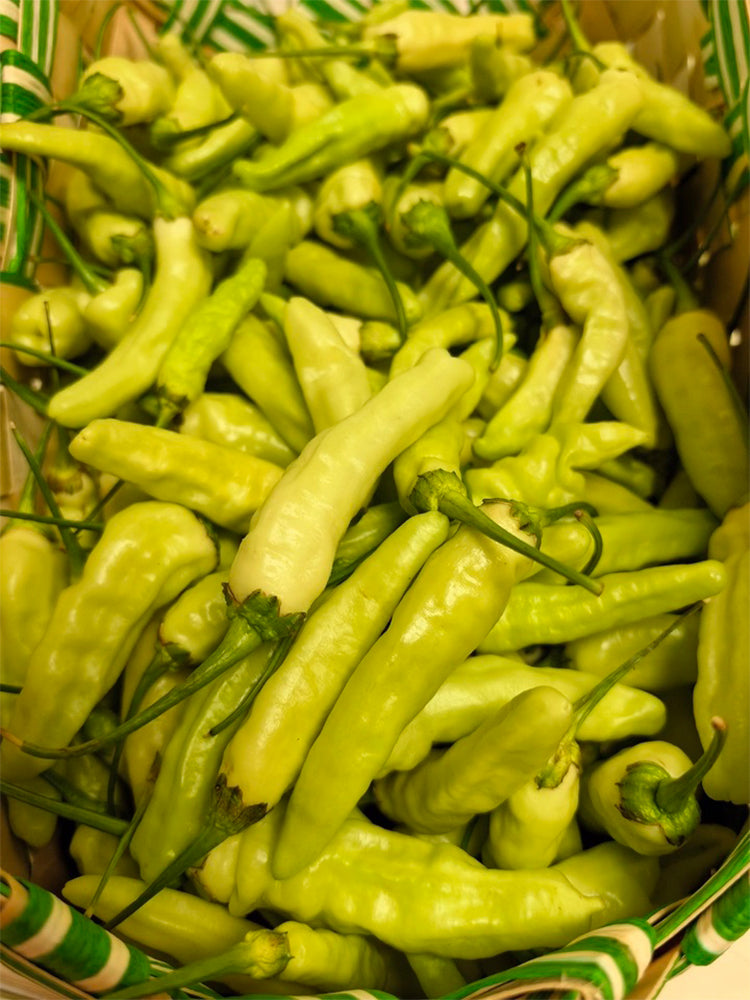 White Wrinkled Xiaomila Chili Peppers