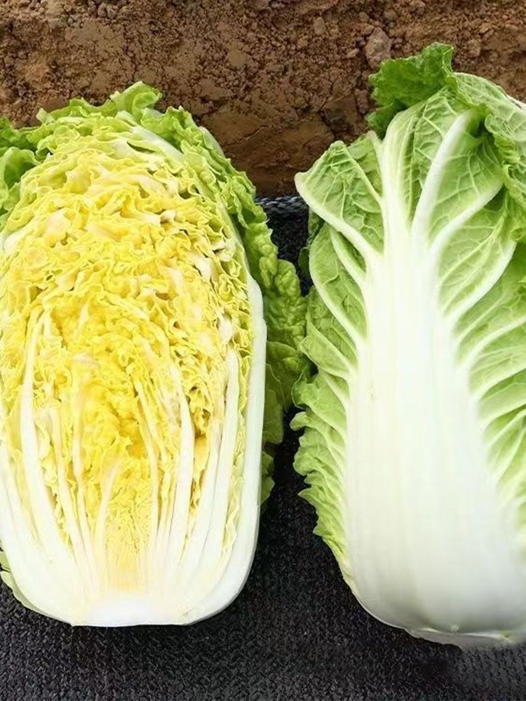 Quanfu Baby Cabbage