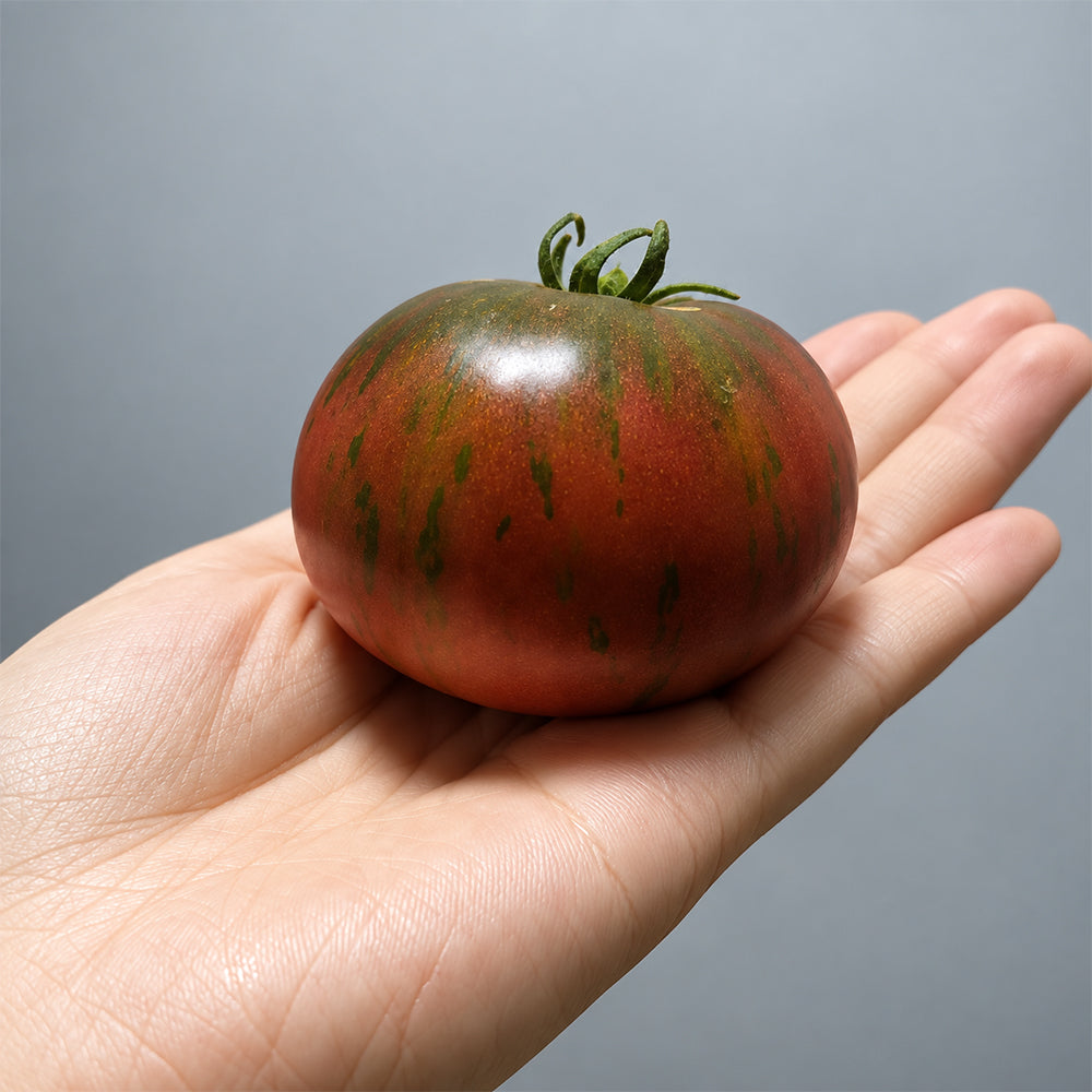 477 Dwarf Crimson Sockeye Tomato