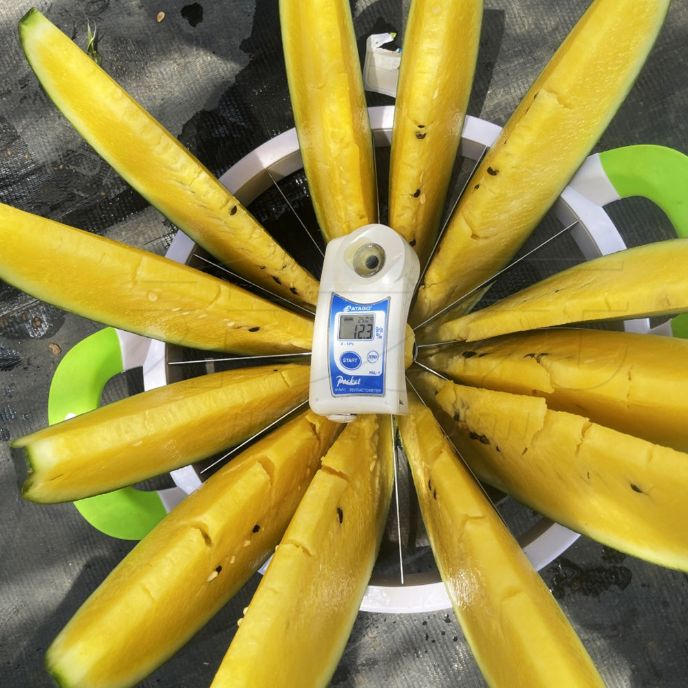 1 Bag (200 Seeds) of 'Yuanxing 25' Series Black Skin Yellow Flesh Watermelon Seeds