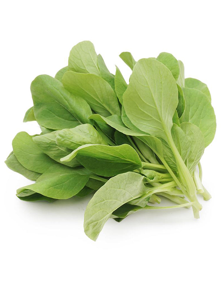 Tender Baby Bok Choy