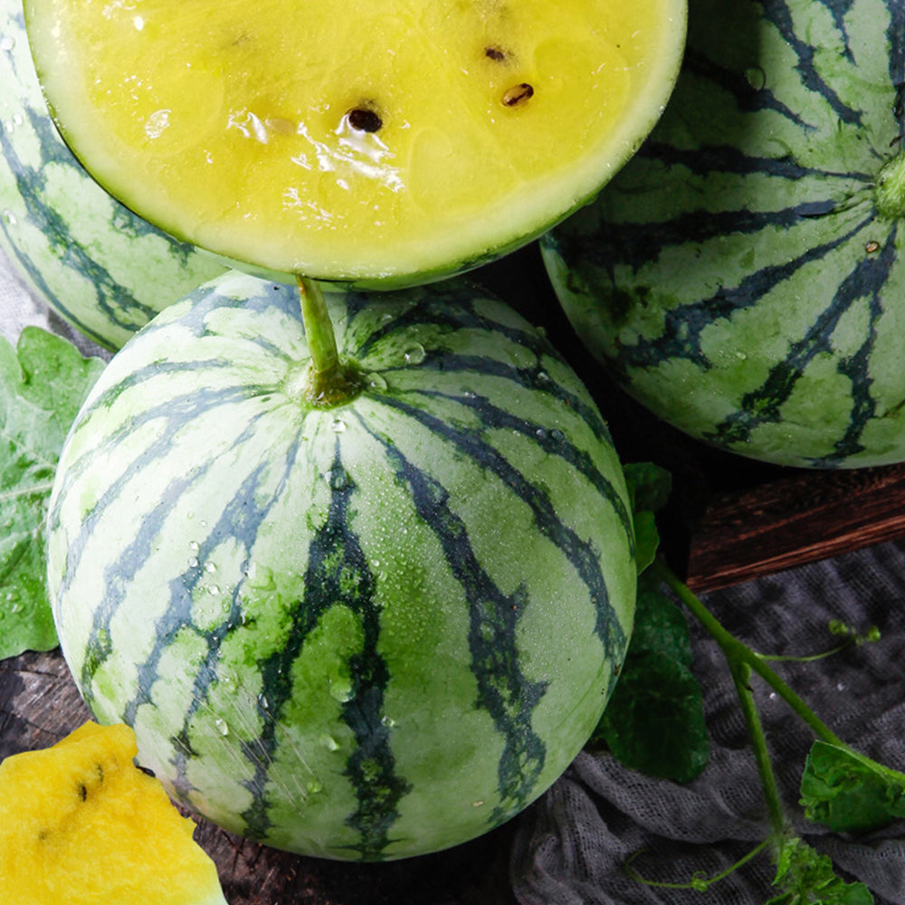 5 Bags (20 Seeds / Bag) of 'Kylin Ice Cream' Series Watermelon Seeds