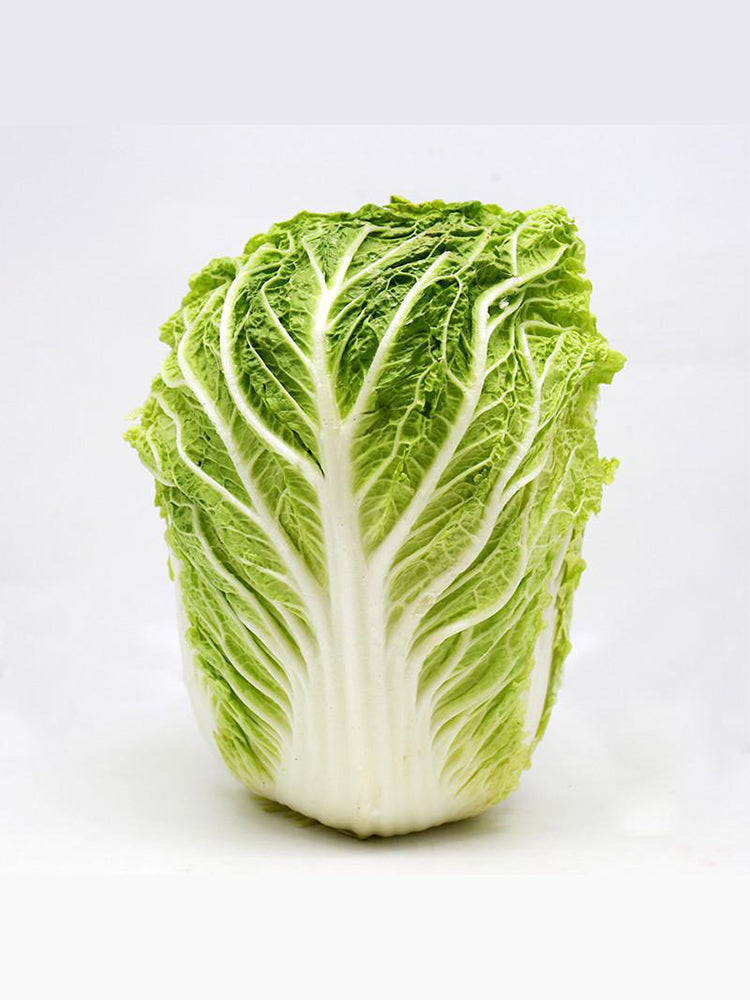 Beijing New No.3 Cabbage