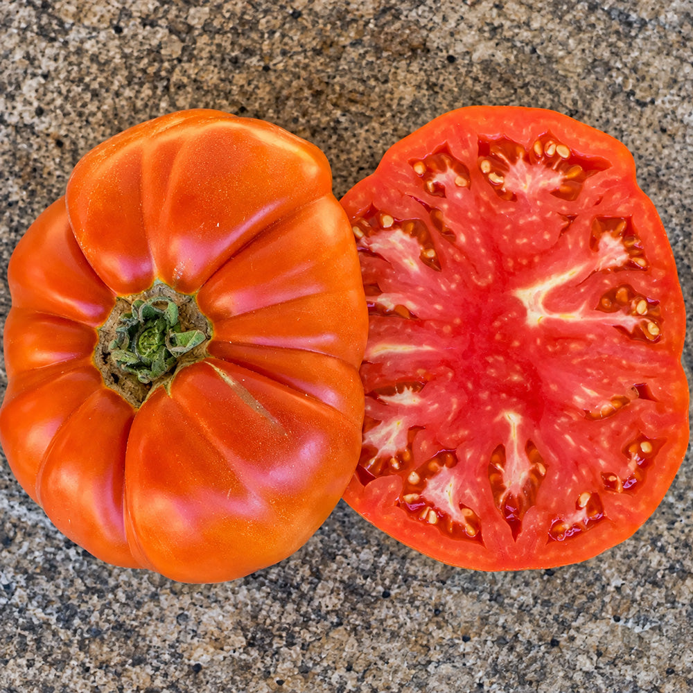 236 ABRIKOS Tomato