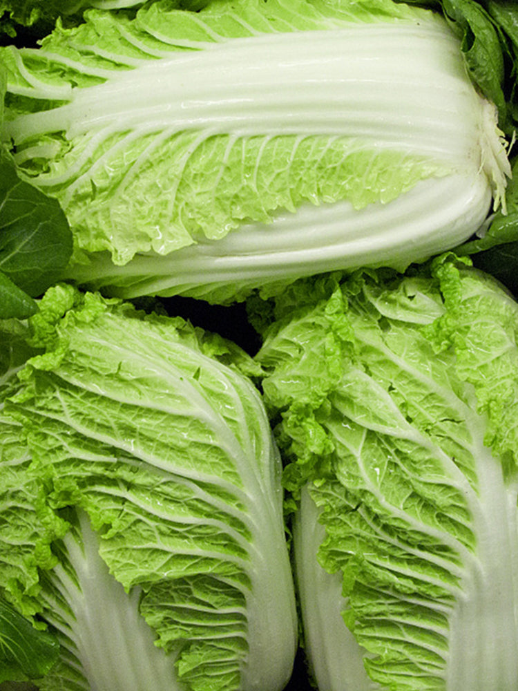 Fengkang 70 Chinese Cabbage