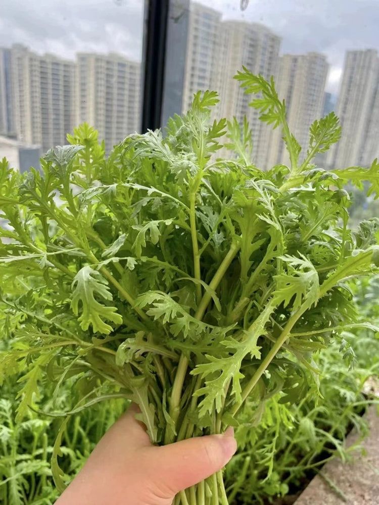 'Emperor's Vegetable'