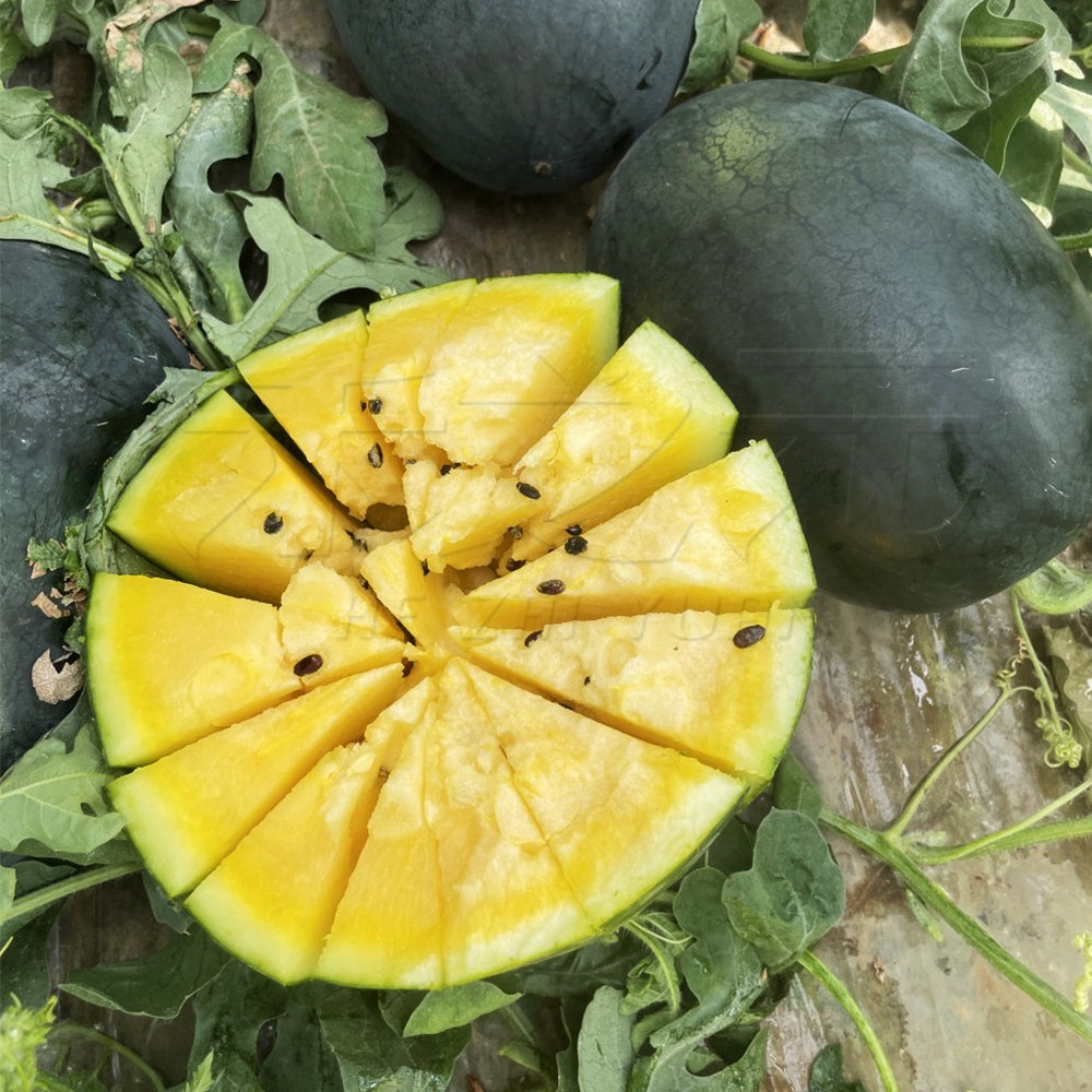 1 Bag (200 Seeds) of 'Yuanxing 25' Series Black Skin Yellow Flesh Watermelon Seeds