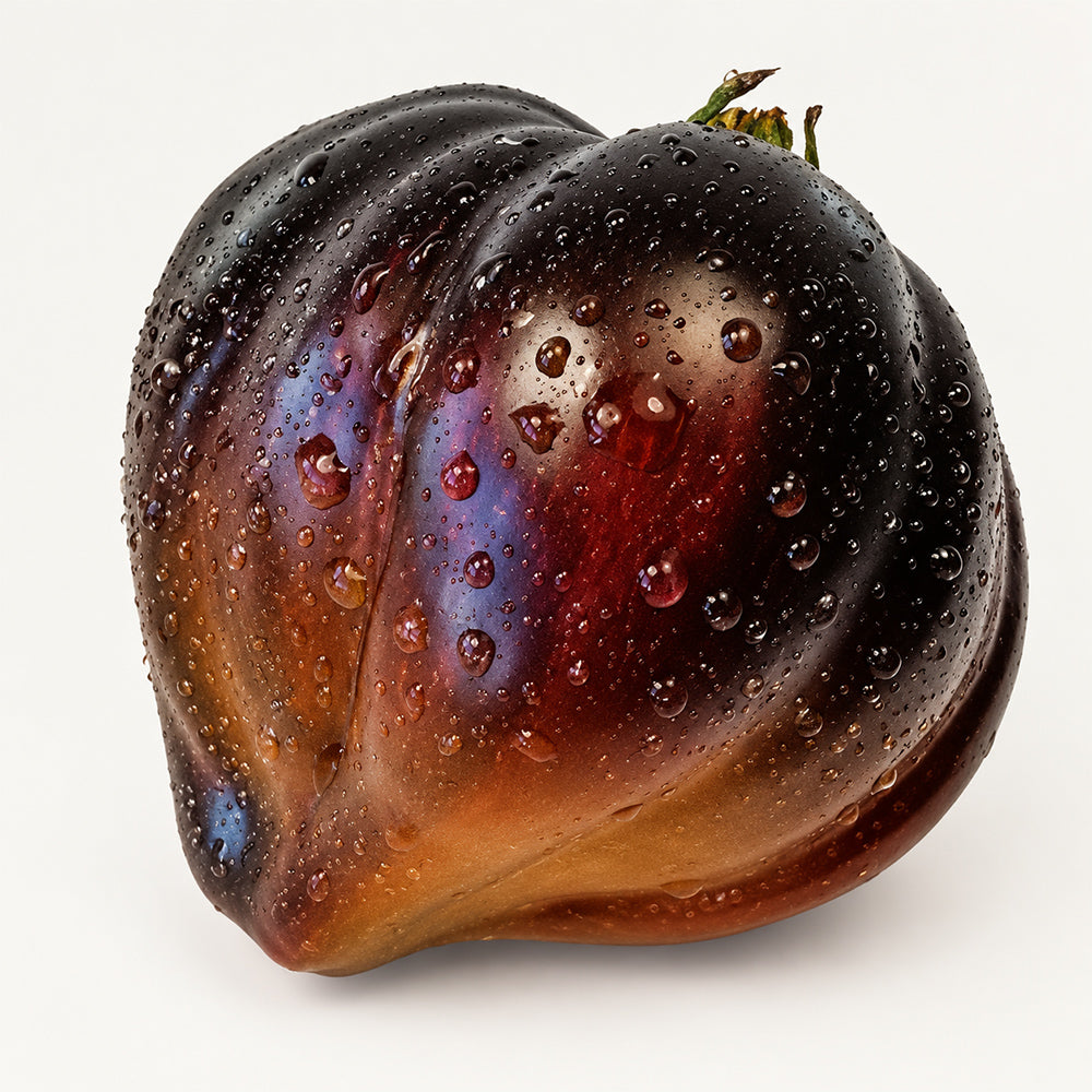 6 Rebel Starfighter Prime Tomato