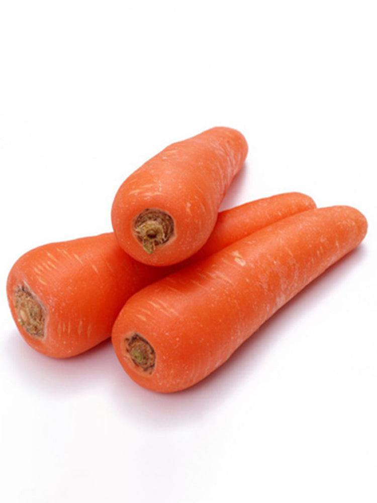 'H1182 F1' Carrot