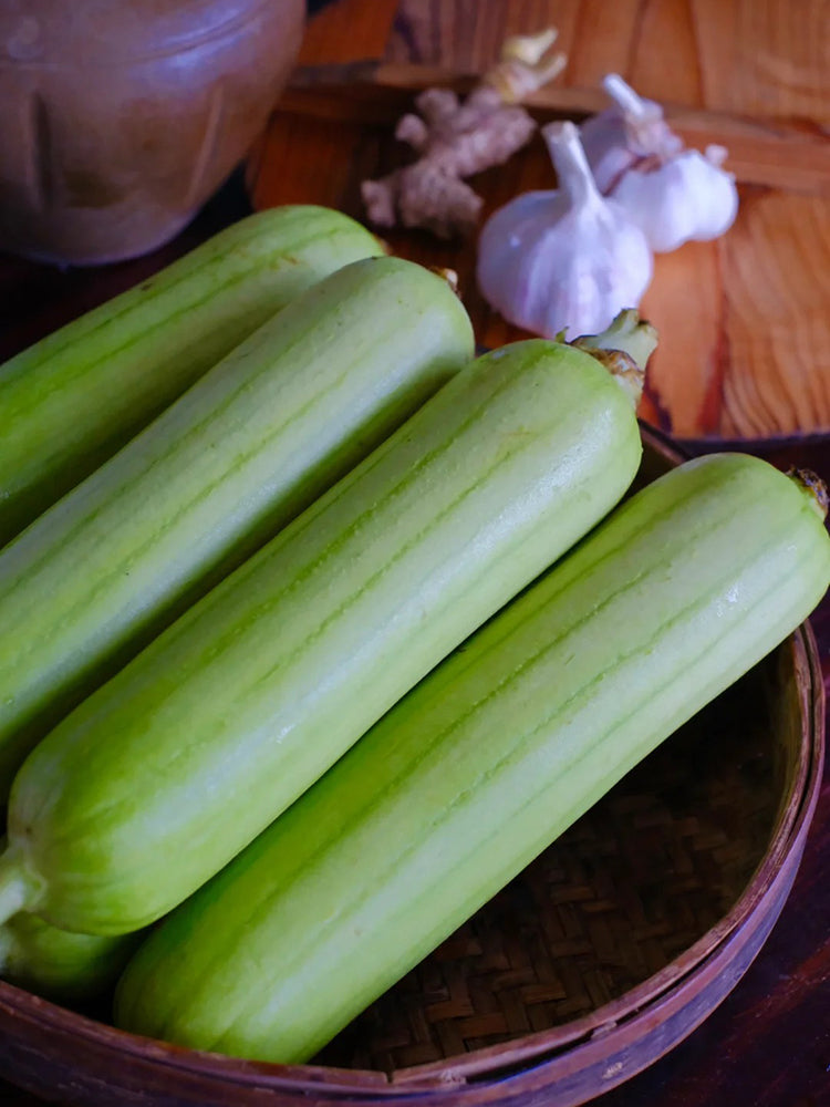 White Jade No.1 Luffa