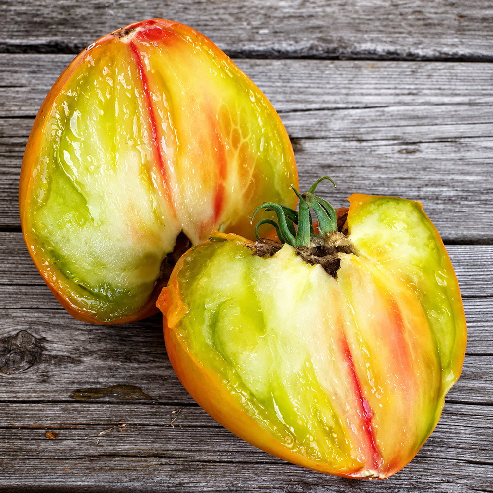 273 True Colors Tomato
