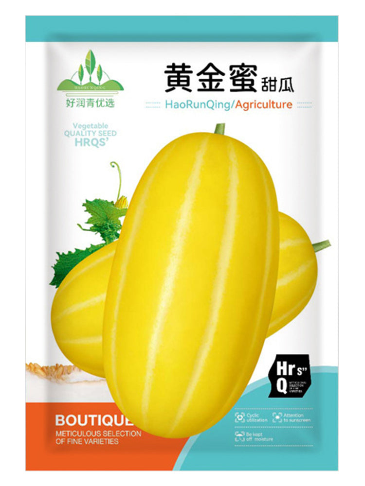 Golden Honey Melon