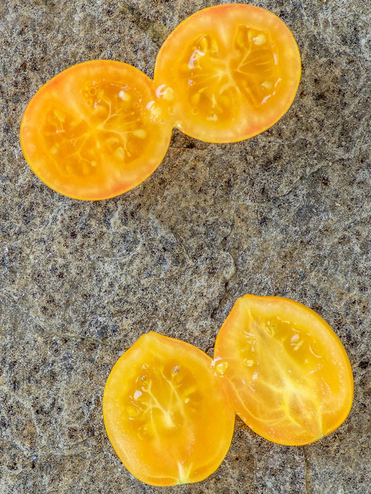 'Tigerette Cherry Yellow' Tomato