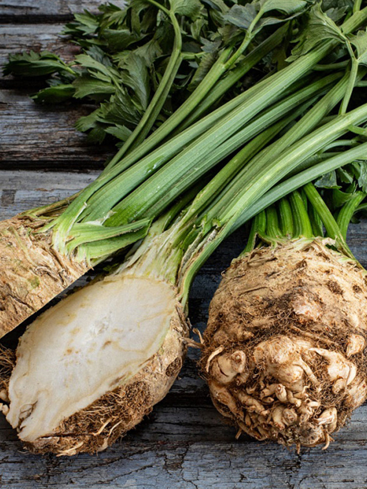Celeriac 'Giant Prague' (Apium graveolens var. rapaceum)
