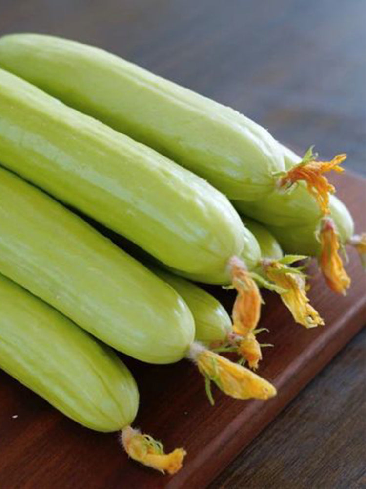 Cream No.3 Mini Cucumbers