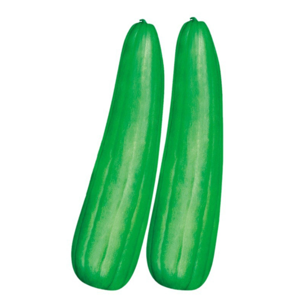 5 Bags (2g / Bag) of Qinglong Cucumber Seeds, Suitable for Raw Consumption, Pickling, and Stir-frying
