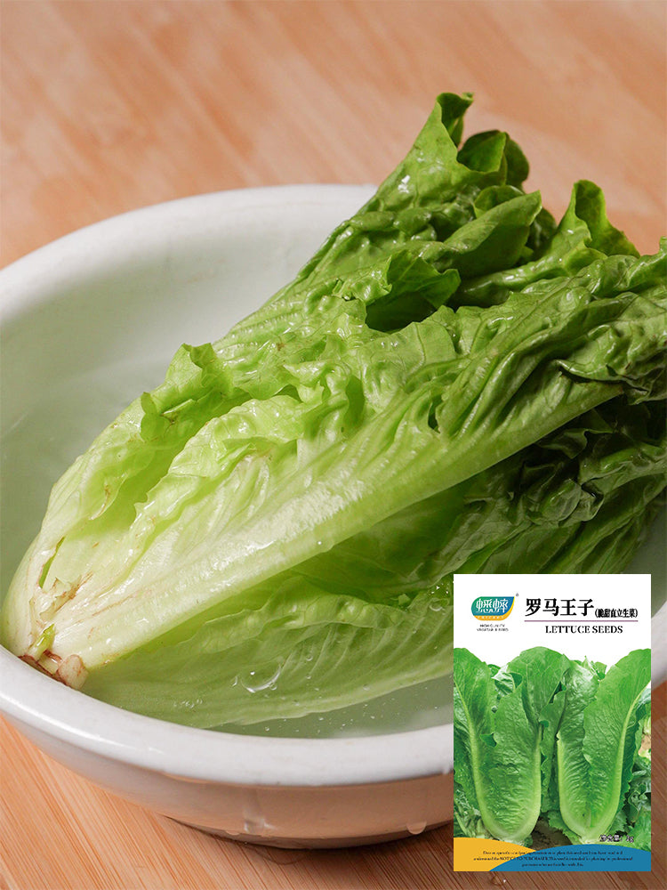 Little Gem Lettuce