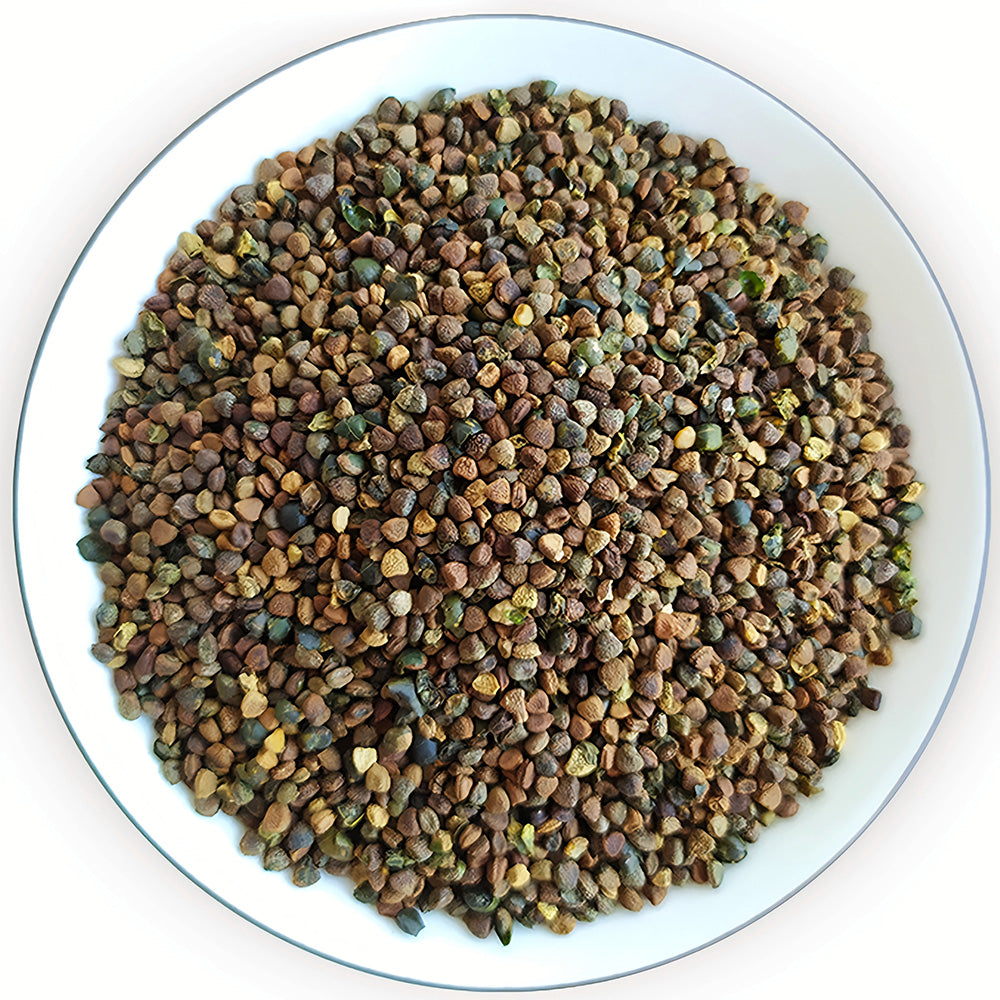 Bellfarm® Gynostemma pentaphyllum Seeds