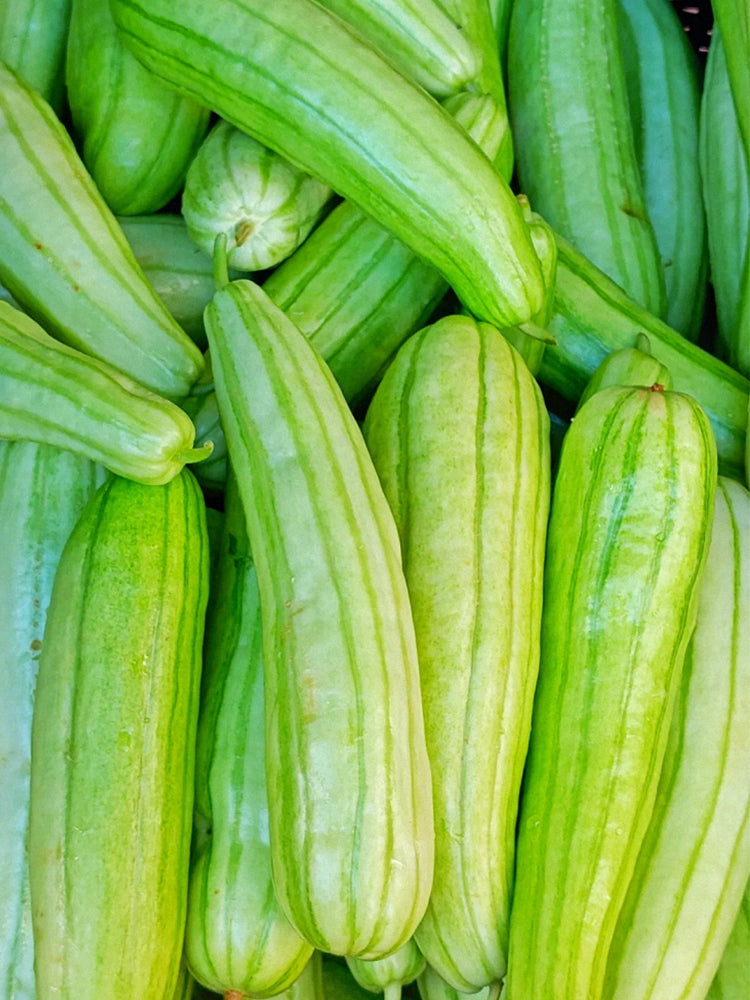 Ketian Brand White-Veined White Melons