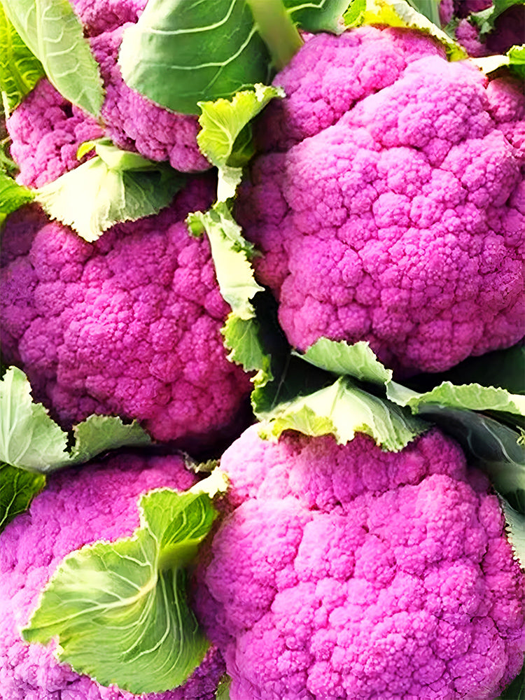 Cauliflower, Colourful Varieties