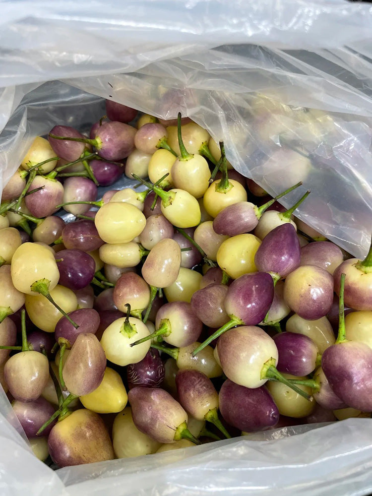 Seven-Colored Pickling Pepper