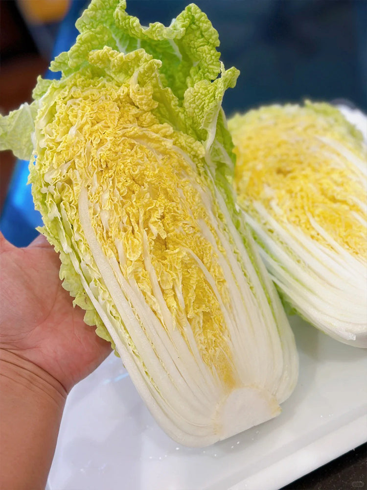 Quanfu Baby Cabbage
