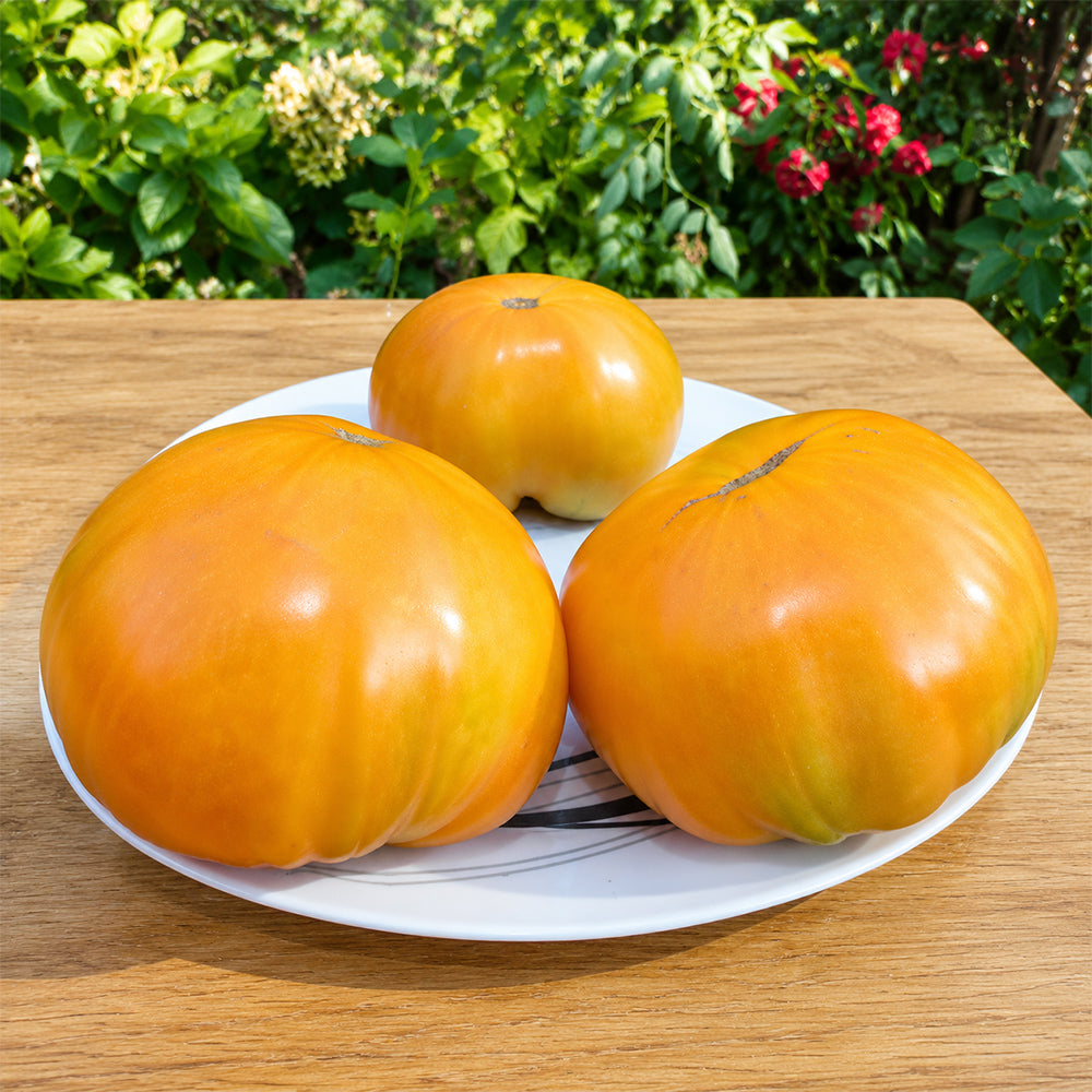 319 Meat Breakfast Tomato