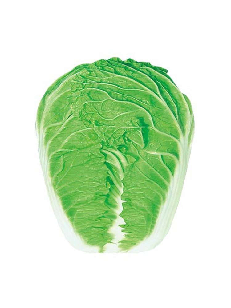 Early-maturing No.5 Chinese Cabbage