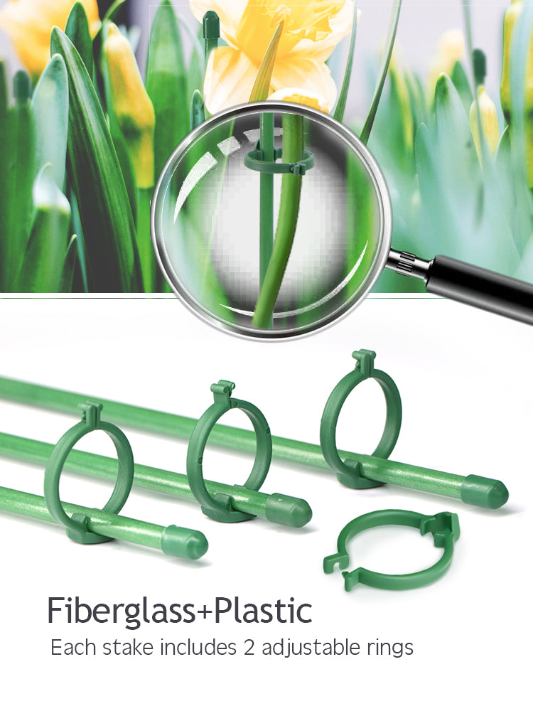 N241 Orchid Support Stakes