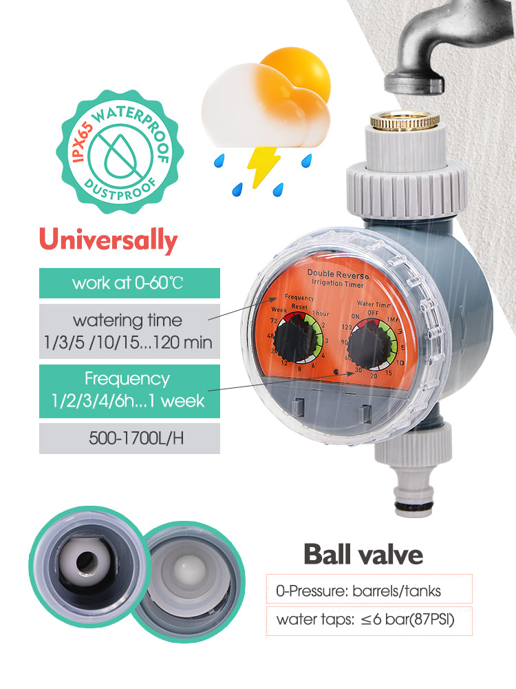 N197 Ball Timer