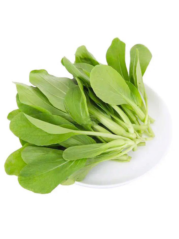 Tender Baby Bok Choy