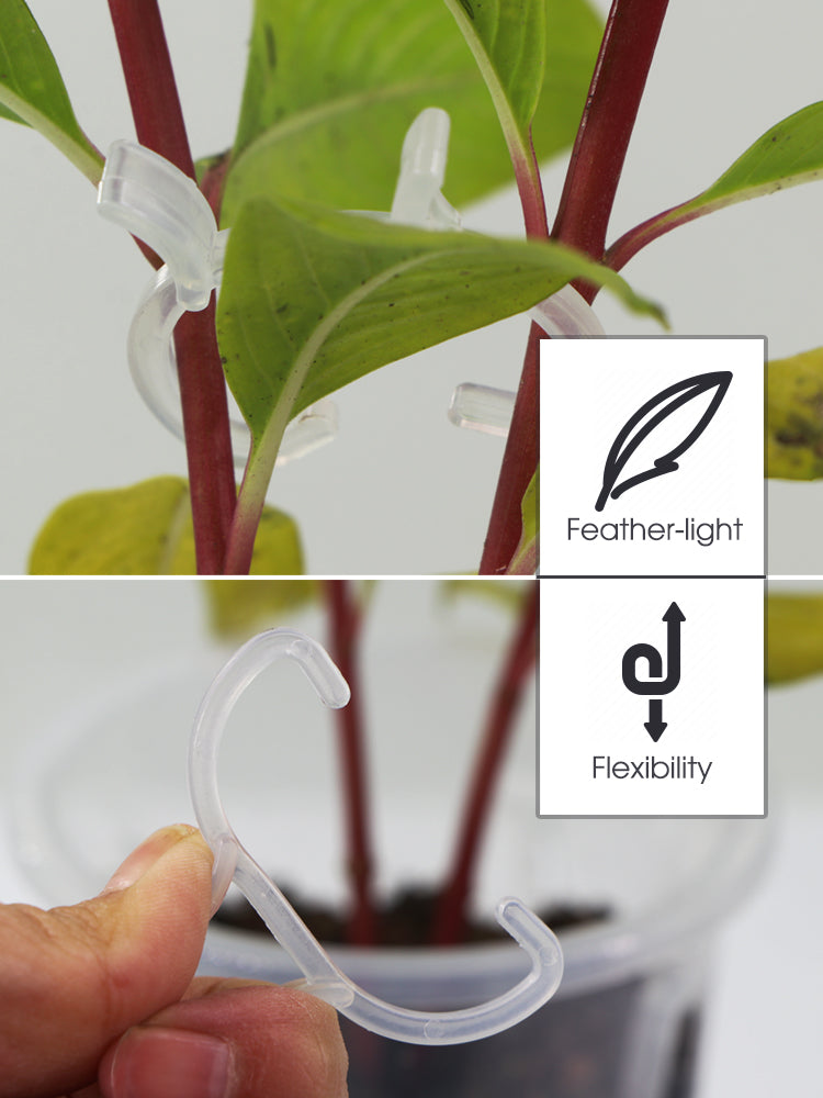 N220 Garden Vine Management
