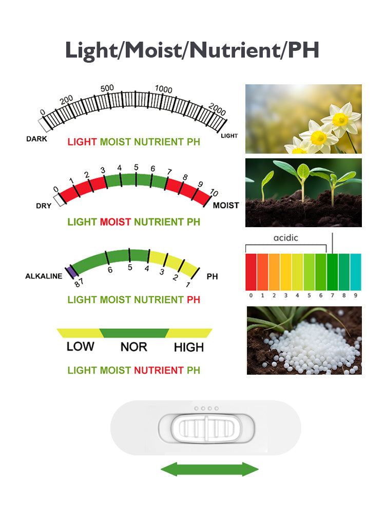 N008 Soil Meter