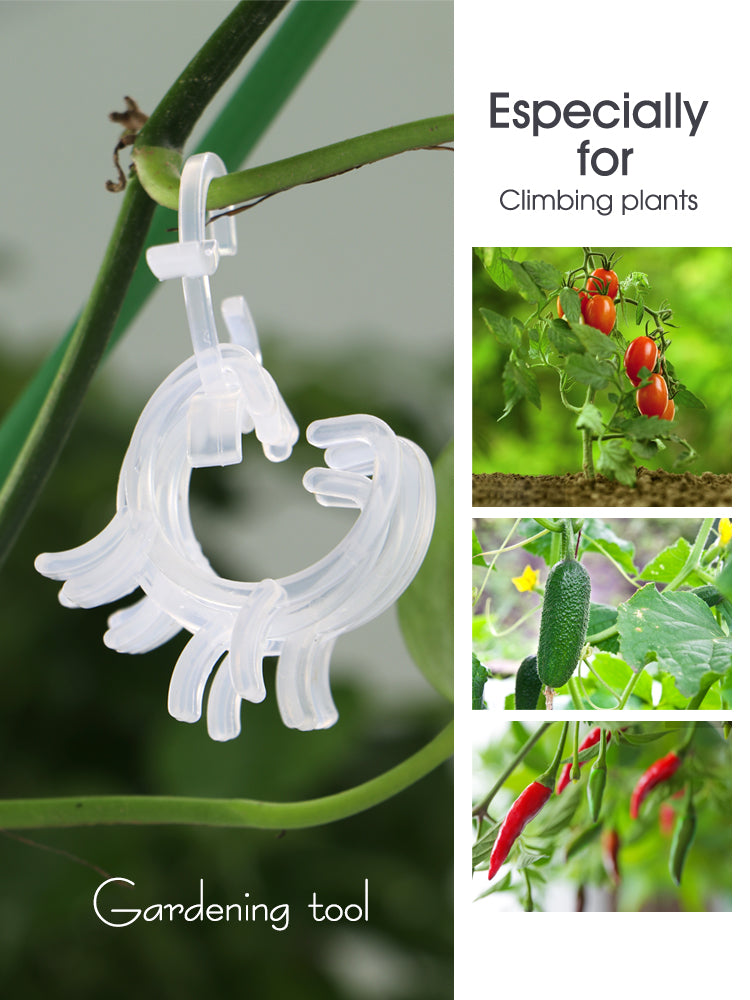 N220 Garden Vine Management