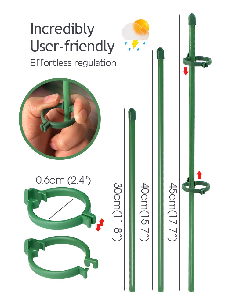 N241 Orchid Support Stakes
