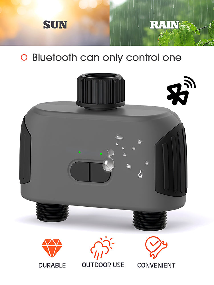 N175 Smart Timer, 2-Way