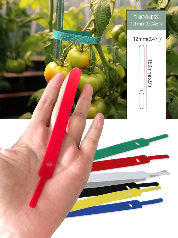 N227 Cable Ties