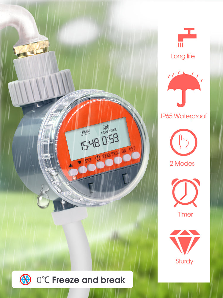 N194 Ball Timer