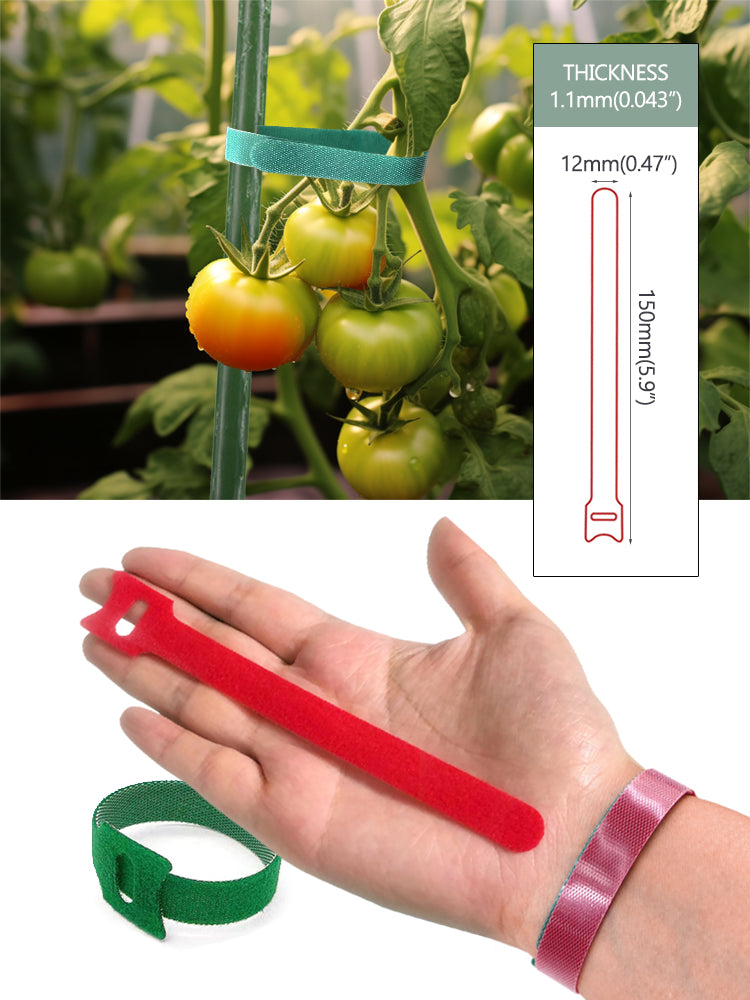 N226 Cable Ties