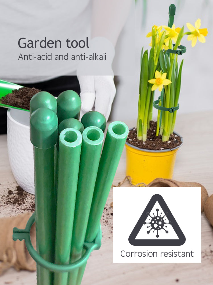 N241 Orchid Support Stakes