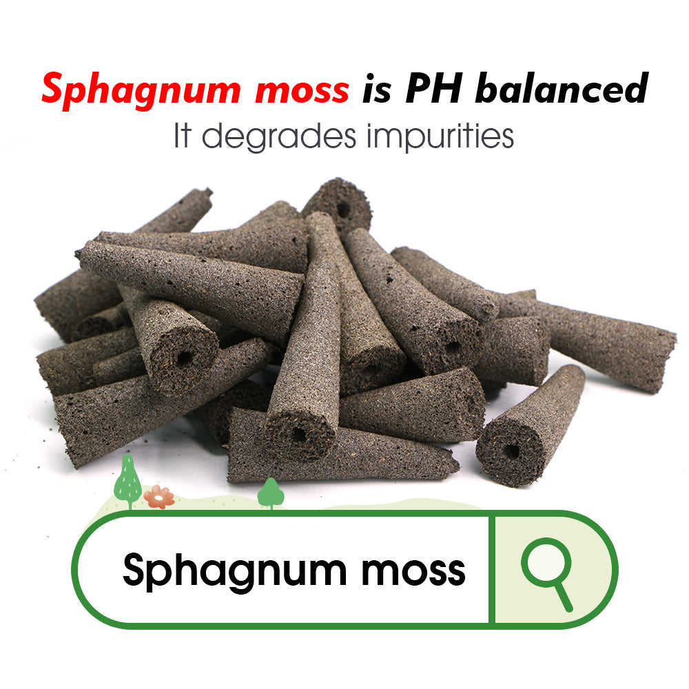 6x2CM Hydroponics Grow Sponges 50PCS