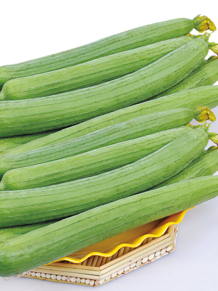 Long Fragrant Luffa