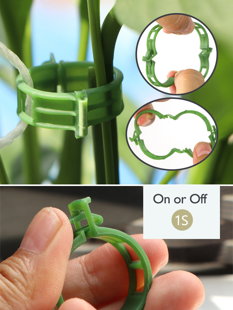 N228 Vine Clamps