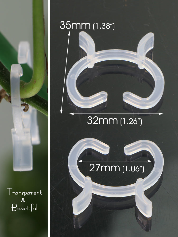 N220 Garden Vine Management