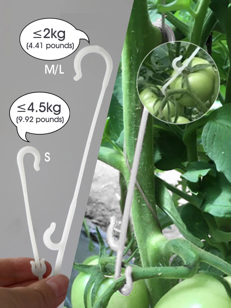 N232 Fruit Hanging Hooks