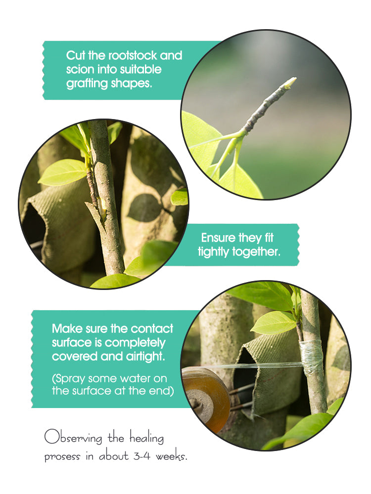 N224 Grafting Tape