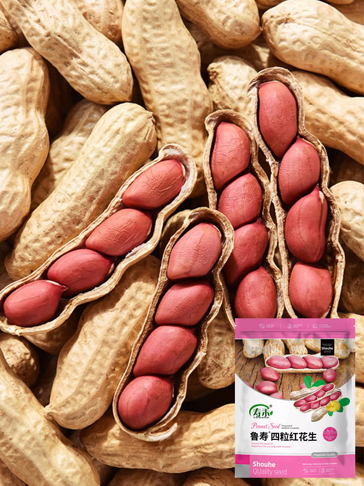 Four-grain Red Peanut