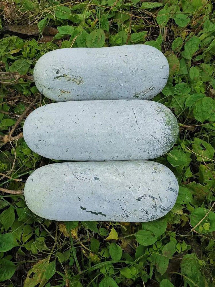 Fenbailong Wax Gourds