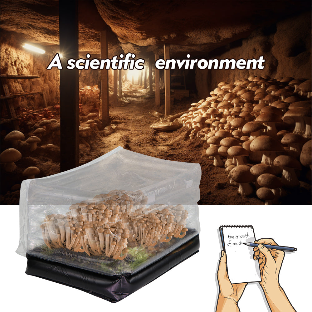 Inflatable Monotub Mushroom Grow Bag