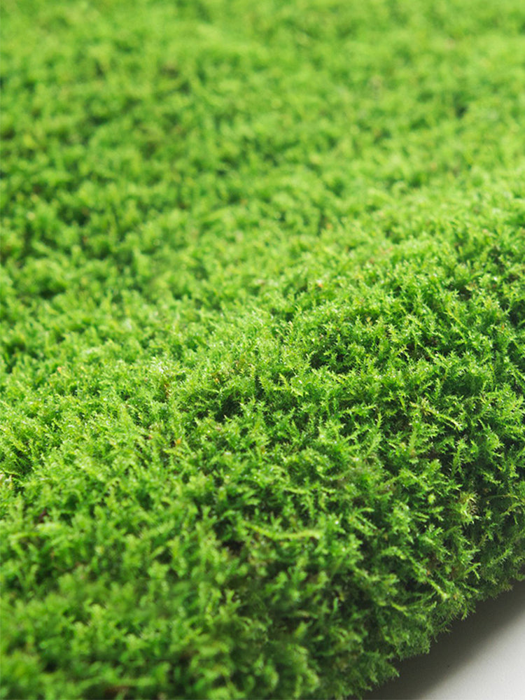 Short-stemmed Moss